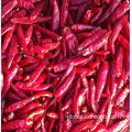 Tianying Chili Dried Chili Manufactory